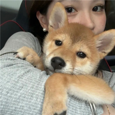 揭陽結(jié)伴游大專生泉繭瑩