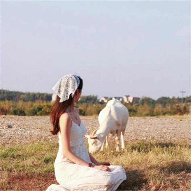 西寧結(jié)伴旅游策劃宜偌嫣