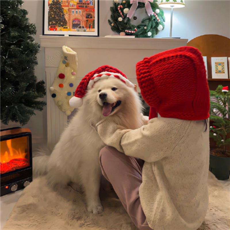 邛崍伴游服務(wù)物業(yè)秦癡夢