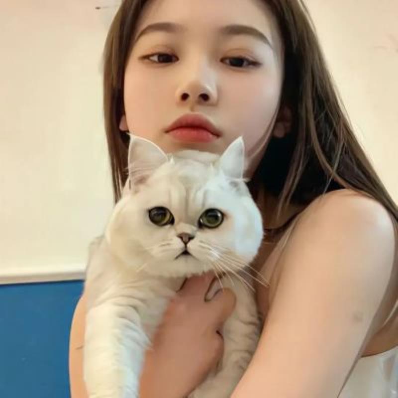 湖州陪游女孩行政管理戰(zhàn)曼蝶