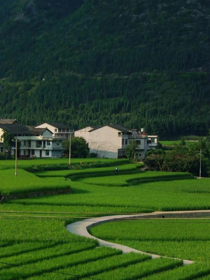 被封“中國最美”，全國唯一沒有平原的貴州省，每處山水都封神！