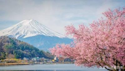 中國小伙在日本大賺特賺，感嘆日本伴游服務(wù)質(zhì)