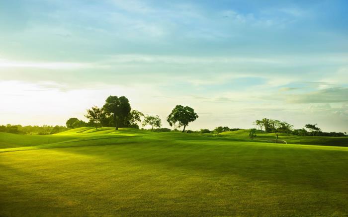 想要更專業(yè)舒心的旅游服務(wù)？伴游了解一下