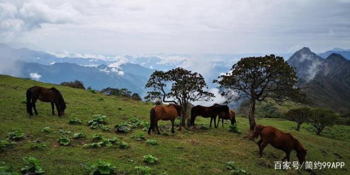 稱職的商務(wù)伴游不可或缺的外形顏值：牧馬及要求
