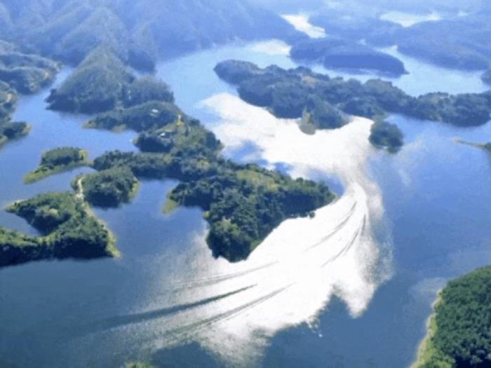 不到雞籠頂，枉為廣東人！原來，中國(guó)絕美的高山草原杜鵑花海在這里