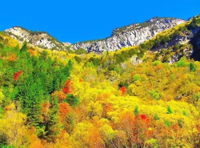 九寨溝僅占1%的美，阿壩州13縣，處處是天堂！