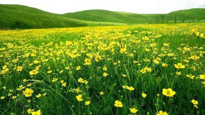 九寨溝僅占1%的美，阿壩州13縣，處處是天堂！