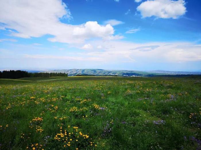 烏魯木齊周邊除了天山天池，還有個地方值得一去，安靜游客少