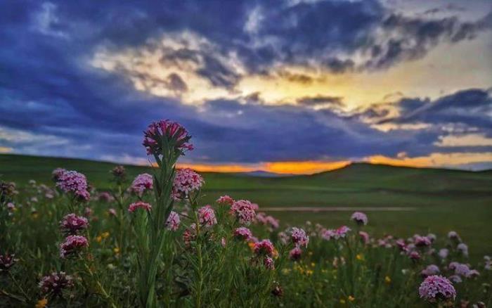 遇見甘南草原、黃河濕地、安多藏族風情