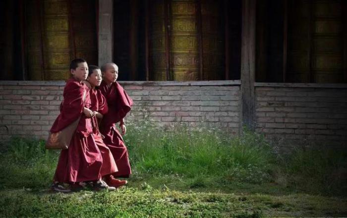 遇見甘南草原、黃河濕地、安多藏族風情