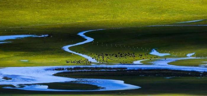 遇見甘南草原、黃河濕地、安多藏族風情