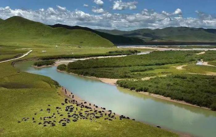 遇見甘南草原、黃河濕地、安多藏族風情