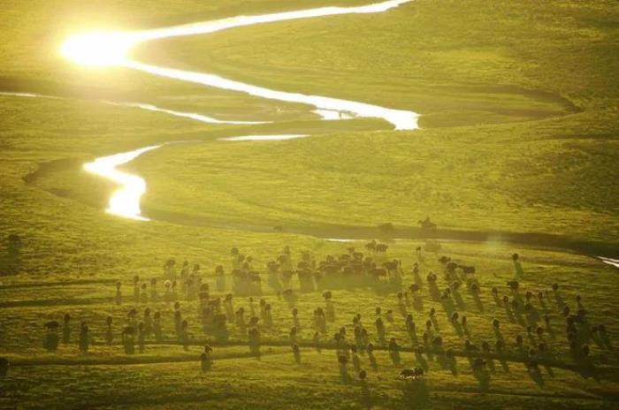 遇見甘南草原、黃河濕地、安多藏族風情