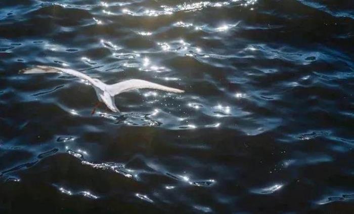 去昆明，邂逅寒冷冬日的春暖花開