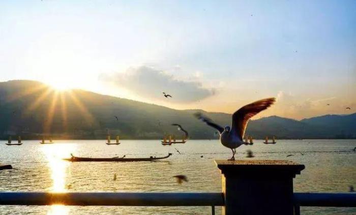 去昆明，邂逅寒冷冬日的春暖花開