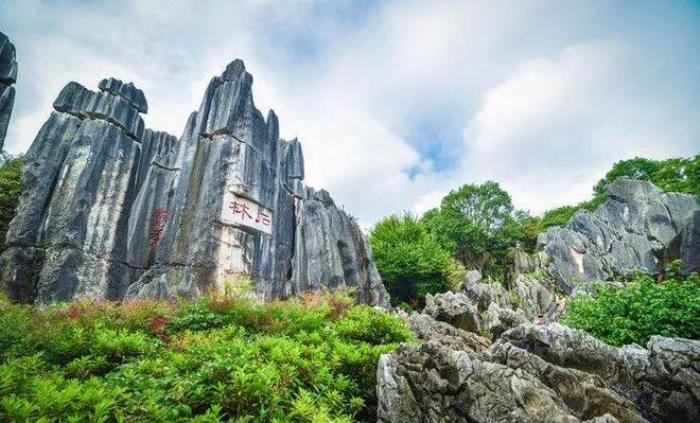 去昆明，邂逅寒冷冬日的春暖花開