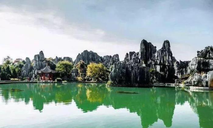 去昆明，邂逅寒冷冬日的春暖花開