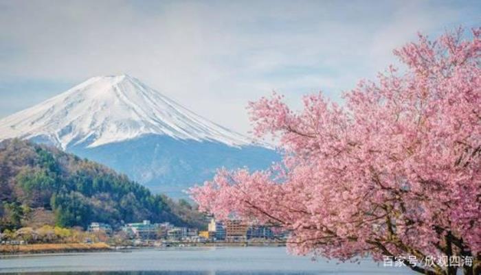 中國(guó)小伙在日本大賺特賺，感嘆日本伴游服務(wù)質(zhì)量高