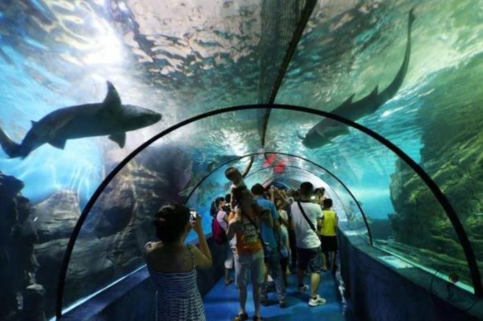 武漢東湖海洋世界沒(méi)帶身份證可以進(jìn)去嗎