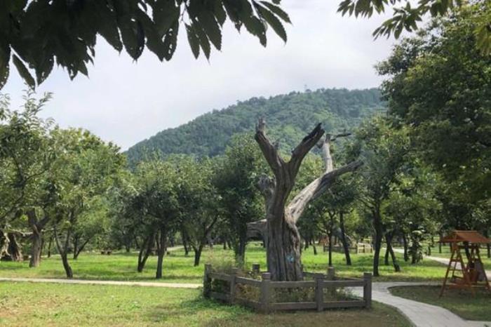 銀山塔林風(fēng)景區(qū)現(xiàn)在開(kāi)放嗎