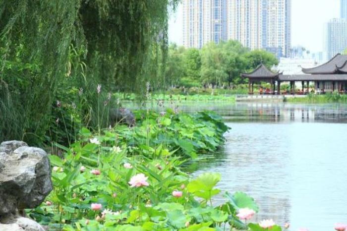 武漢沙湖公園門(mén)票多少錢(qián)