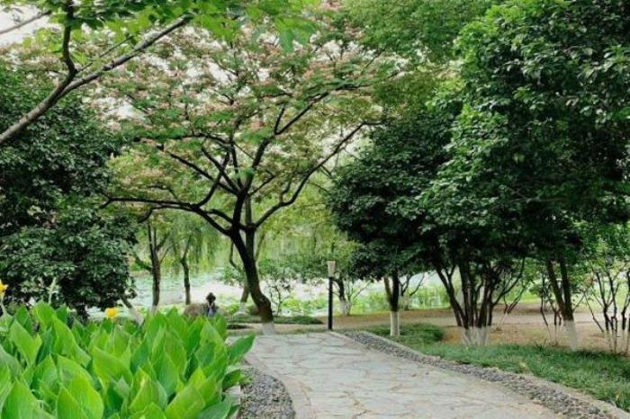 武漢沙湖公園門(mén)票多少錢(qián)