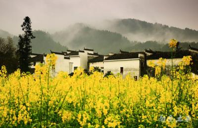 別來找我 我要去婺源掃黃了