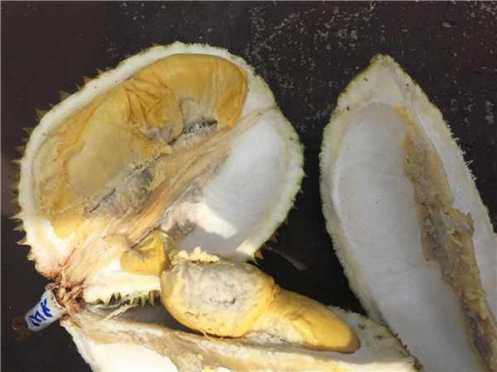 馬來西亞有什么好吃的