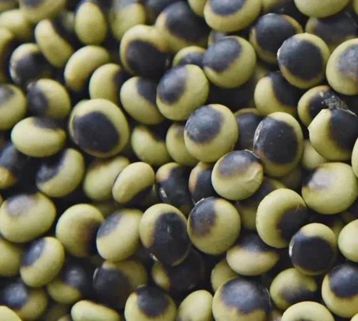 黑河有哪些土特產(chǎn)