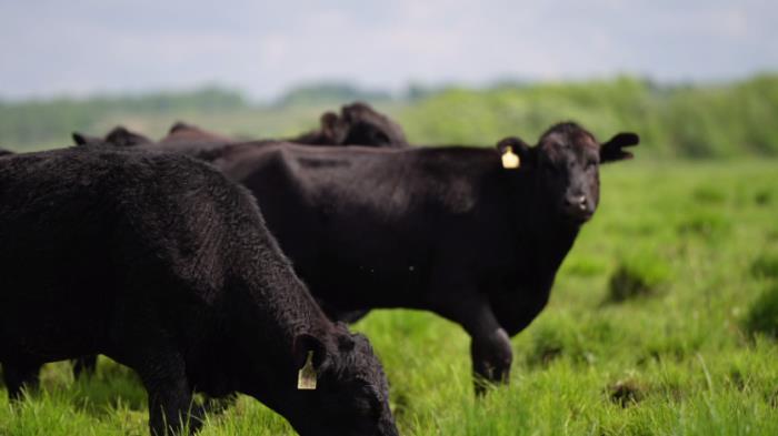 黑河有哪些土特產(chǎn)