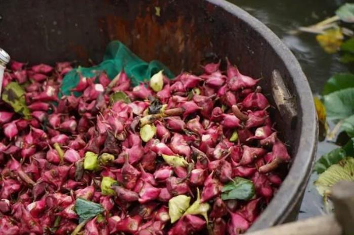 江蘇虞山初秋有哪些好吃的美食推薦