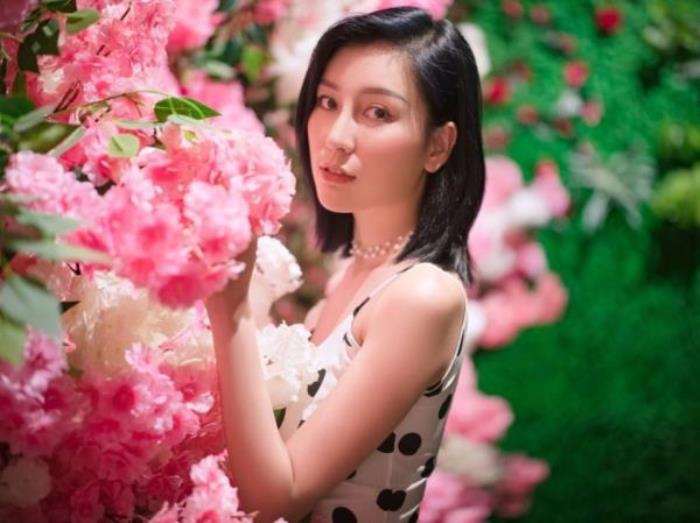 深圳云里夢想樂園 深圳云里夢想樂園