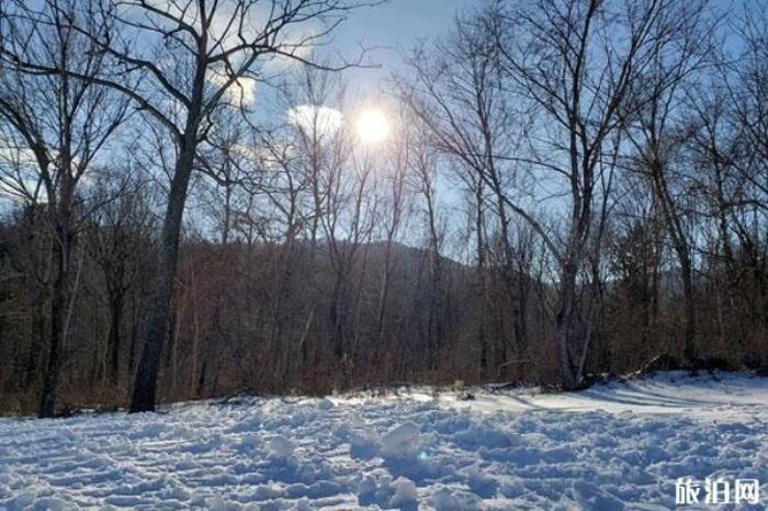 亞布力新體委滑雪場(chǎng)景區(qū)介紹