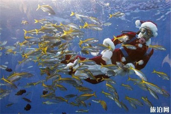 南波灣海洋樂(lè)園 南波灣海洋樂(lè)園