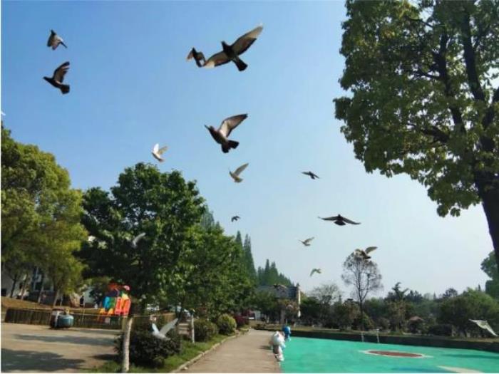 綠野山居景區(qū)