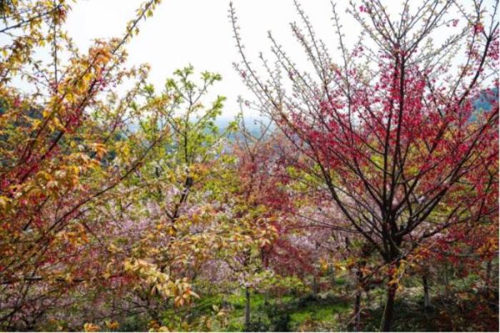 綠野山居景區(qū)