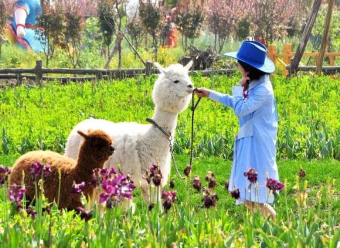 綠野山居景區(qū)