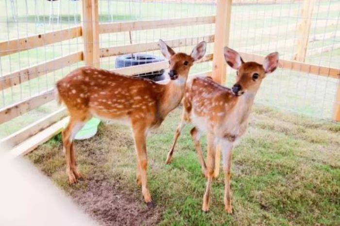 綠野山居景區(qū)