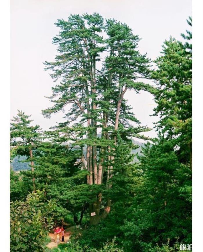 沁源靈空山介紹