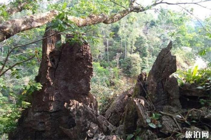 仙安石林 仙安石林