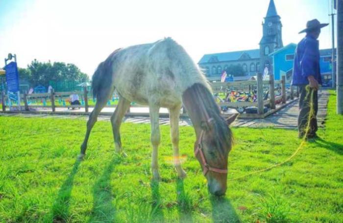 海之灣戶外大本營