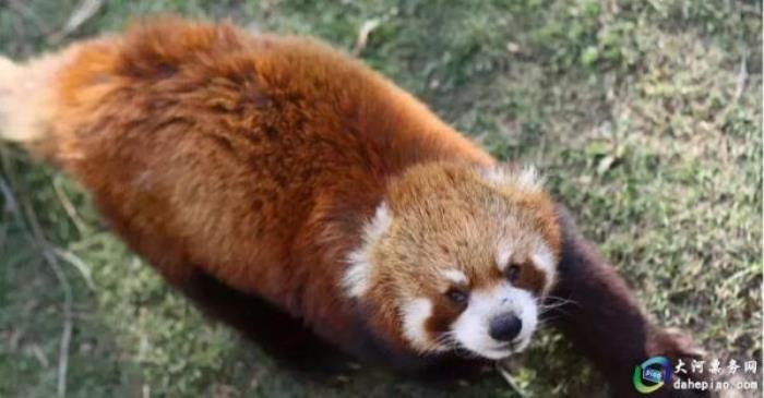 泉州海絲野生動(dòng)物世界