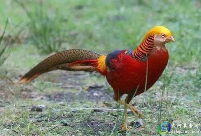 泉州海絲野生動(dòng)物世界 泉州海絲野生動(dòng)物世界