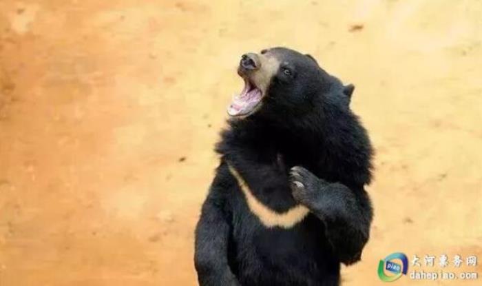 泉州海絲野生動(dòng)物世界 泉州海絲野生動(dòng)物世界