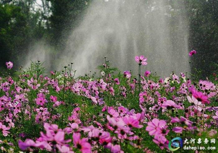泉州海絲野生動(dòng)物世界 泉州海絲野生動(dòng)物世界