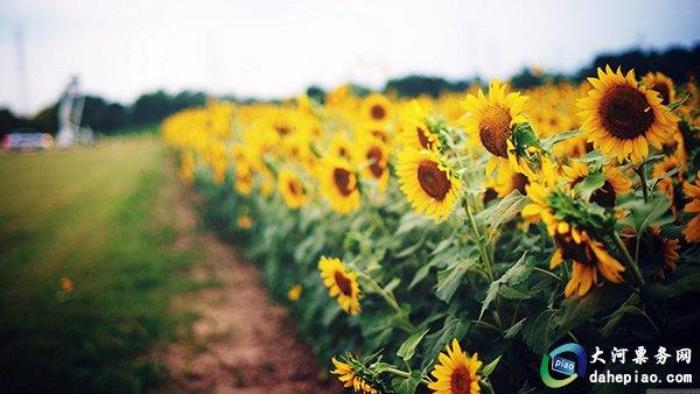 泉州海絲野生動(dòng)物世界 泉州海絲野生動(dòng)物世界