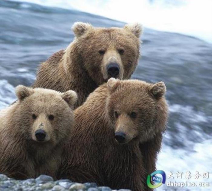 泉州海絲野生動(dòng)物世界 泉州海絲野生動(dòng)物世界