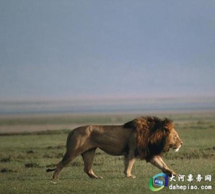 泉州海絲野生動(dòng)物世界 泉州海絲野生動(dòng)物世界