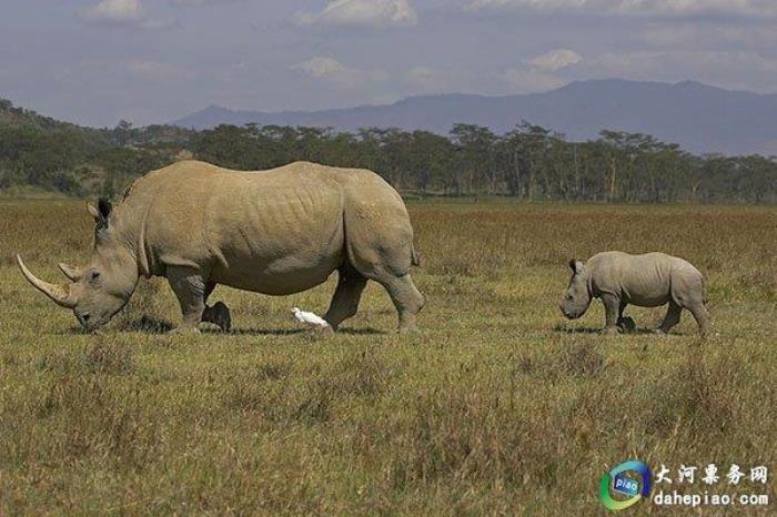 泉州海絲野生動(dòng)物世界 泉州海絲野生動(dòng)物世界