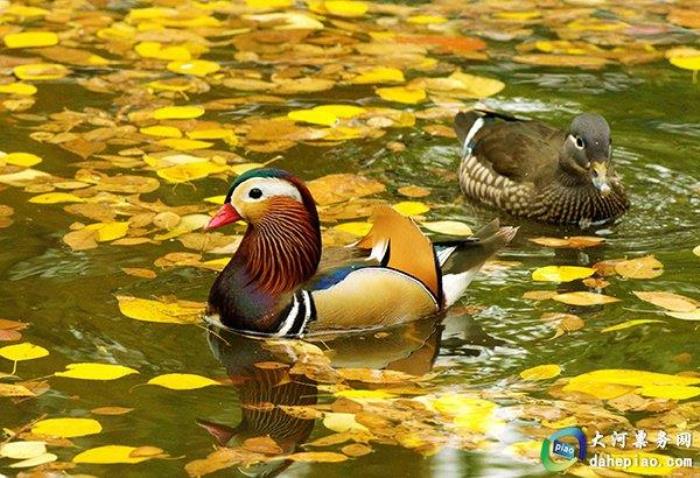 泉州海絲野生動(dòng)物世界 泉州海絲野生動(dòng)物世界